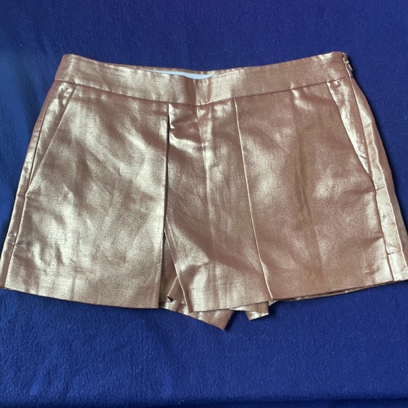 Iredescent Metalic Linen/ Cotton Shorts - Picture 2 of 8